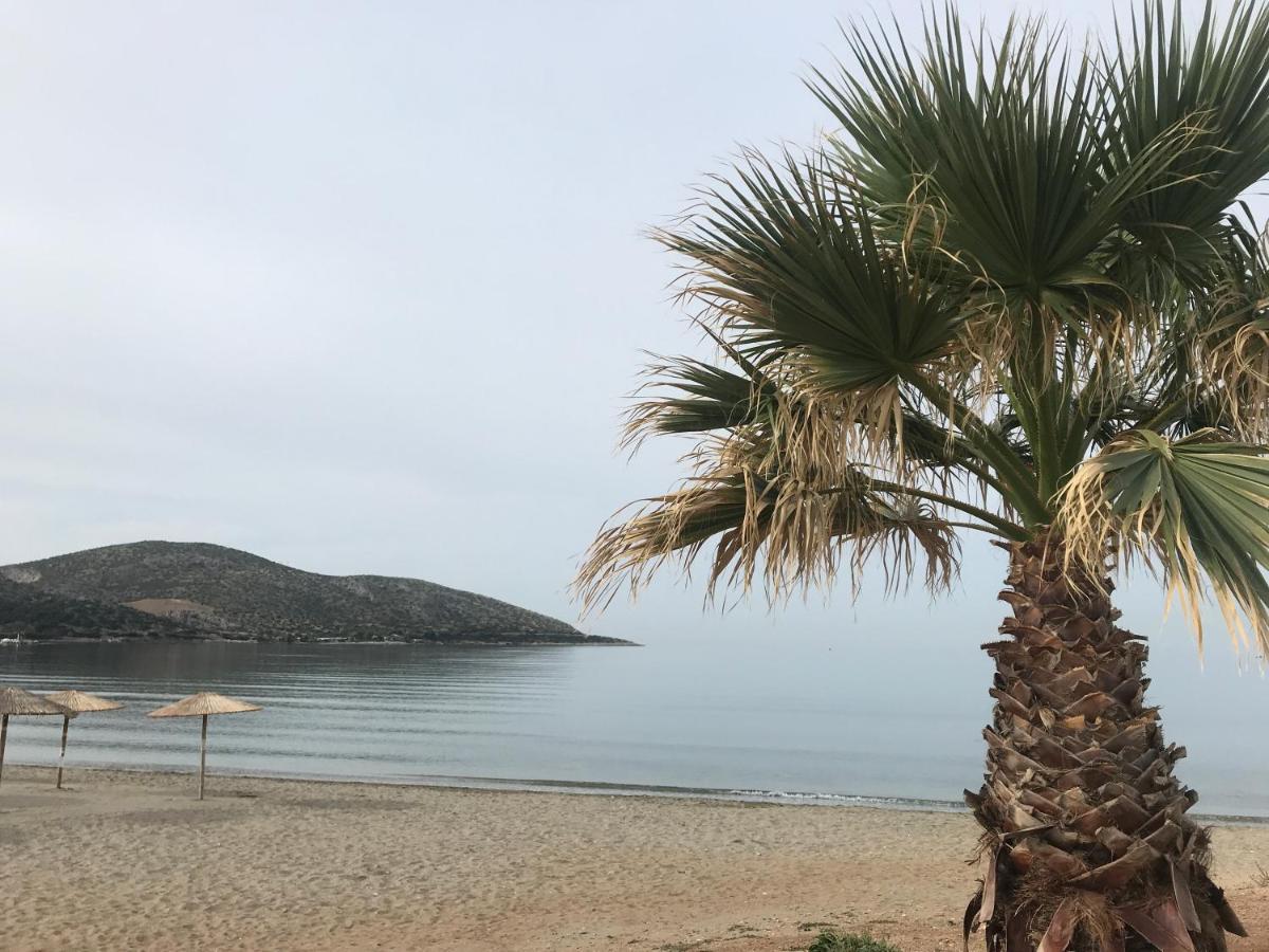 Cosy Studio 2 Minutes Walking From The Beach Anavyssos Exteriér fotografie